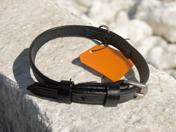 Repurposed Leather Dog Collar blue stitching